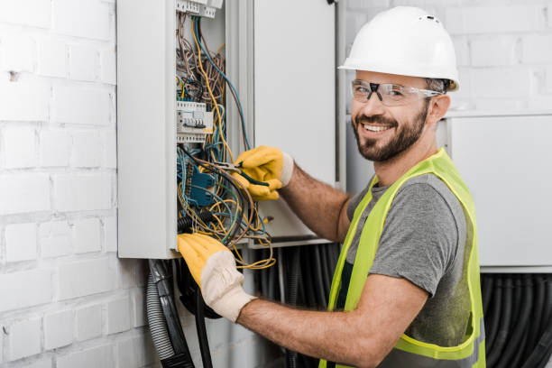 Best Electrical System Inspection  in Williamston, MI