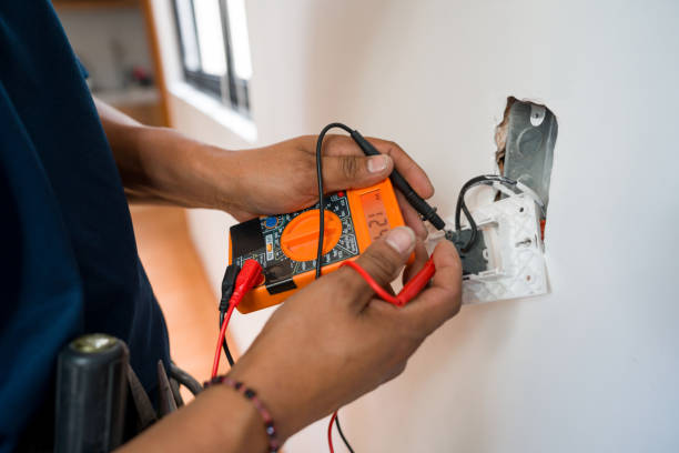 Best Affordable Electrician  in Williamston, MI