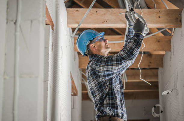 Best Electrician for Home Renovation  in Williamston, MI