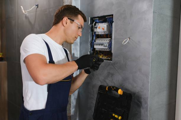 Best Electric Panel Repair  in Williamston, MI