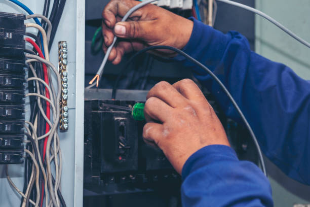 Best Electrical System Inspection  in Williamston, MI