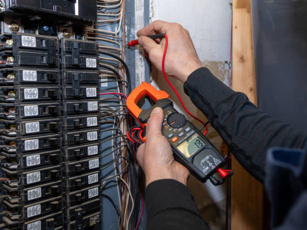 Best Electrical Rewiring Services  in Williamston, MI